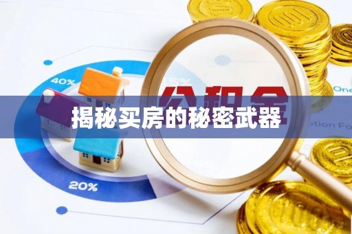 青河揭秘买房的秘密武器