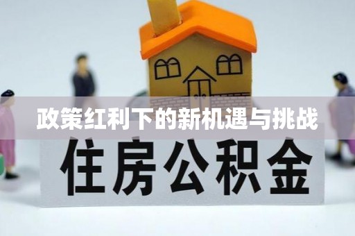 青河政策红利下的新机遇与挑战
