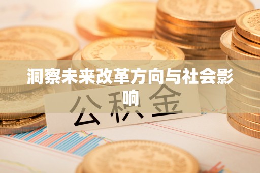 青河洞察未来改革方向与社会影响